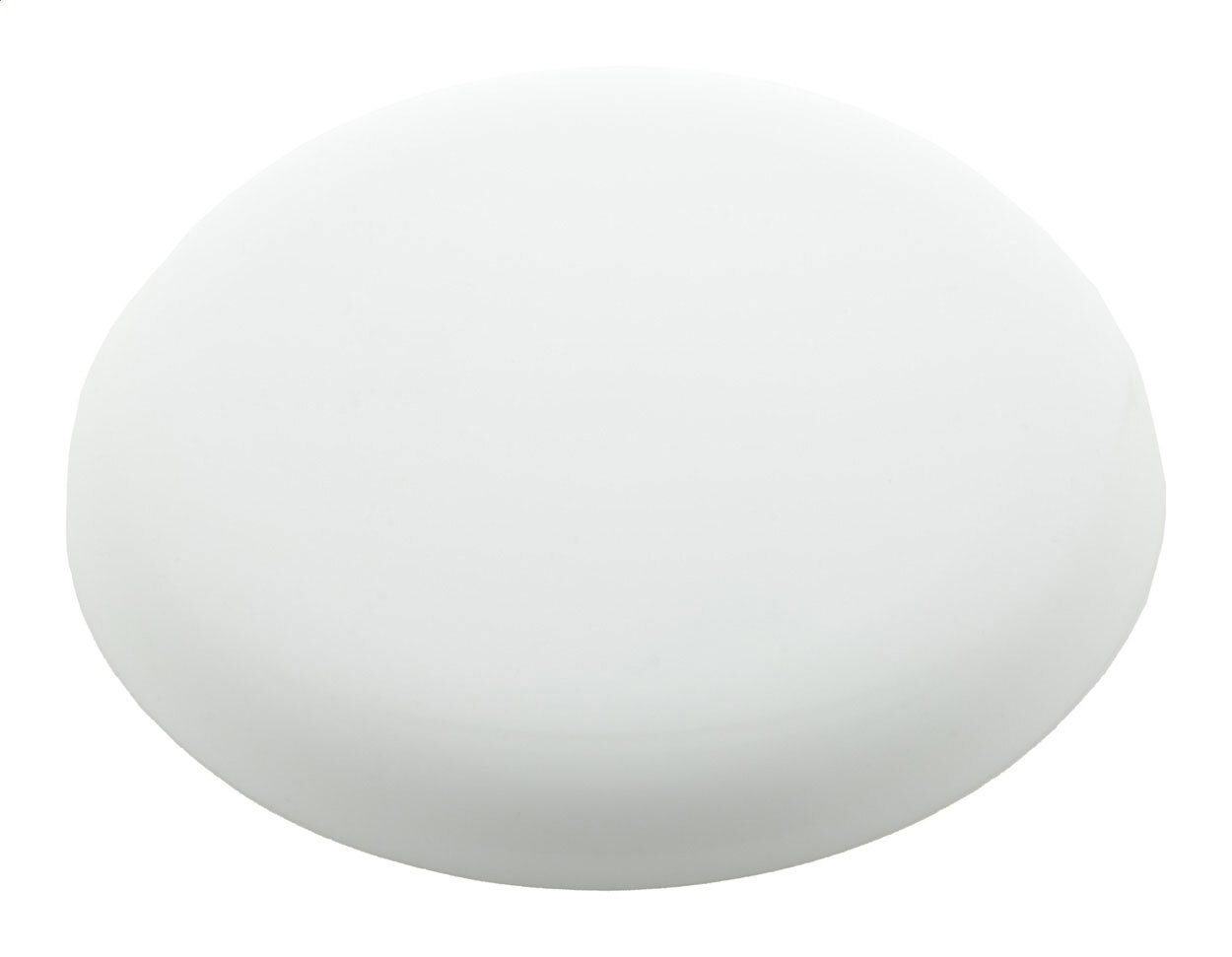 Reppy. frisbee - AP809526