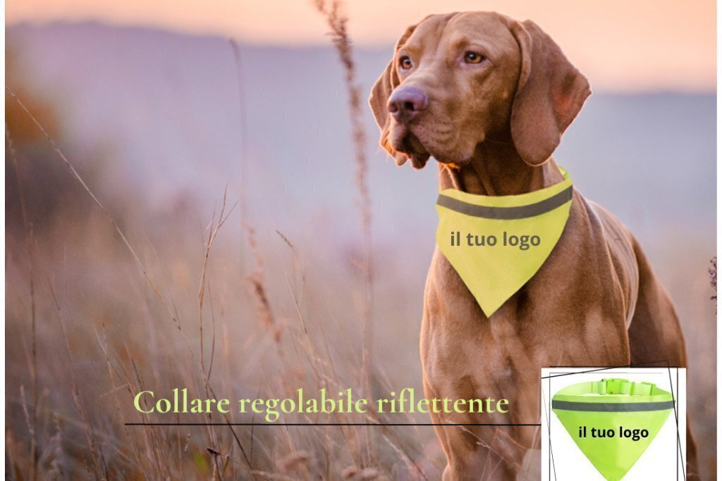 Accessori per Cani Personalizzati: trova il tuo stile su IlGadget.it